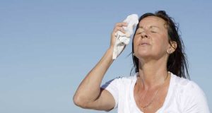 menopausa defini%C3%A7%C3%B5es sintomas tratamento 1