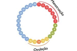 como calcular per%C3%ADodo f%C3%A9rtil 1