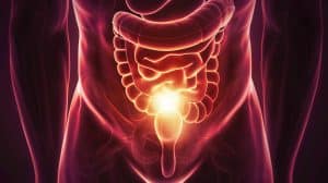 Esquistossomose: Foto gerada com inteligência artificial mostrando órgãos do abdômen